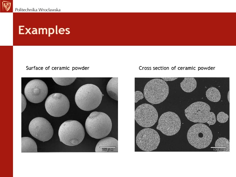 Examples        Surface of ceramic powder  